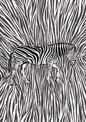 Picture of AFRICAN ZEBRA STRIKING CAMOUFLAGE