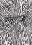Picture of AFRICAN ZEBRA STRIKING CAMOUFLAGE