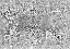Picture of LEOPARD ROSETTE CAMOUFLAGE