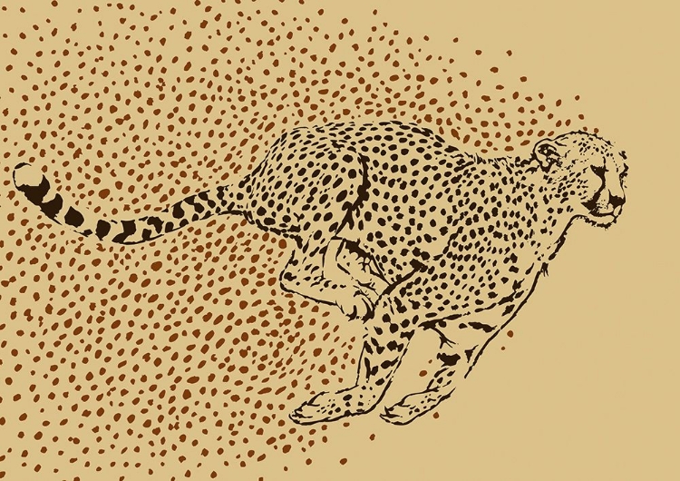 Picture of CHEETAH FULL SPRINT