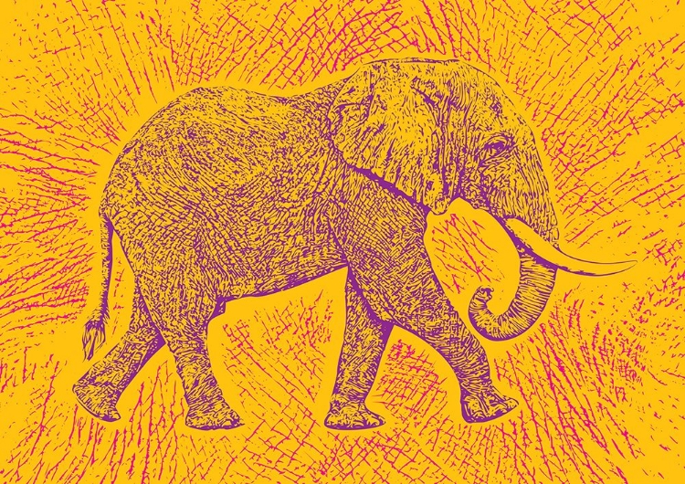 Picture of AFRICA ELEPHANT TEXTURE PATTERN