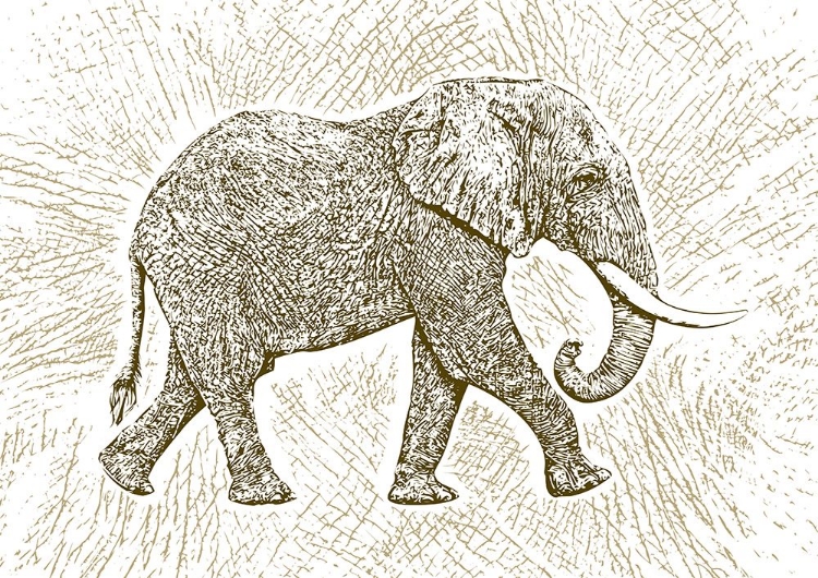 Picture of AFRICA ELEPHANT TEXTURE PATTERN