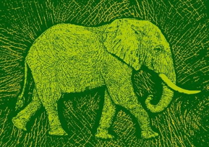 Picture of AFRICA ELEPHANT TEXTURE PATTERN