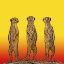 Picture of MEERKAT GANG AT SUNSET
