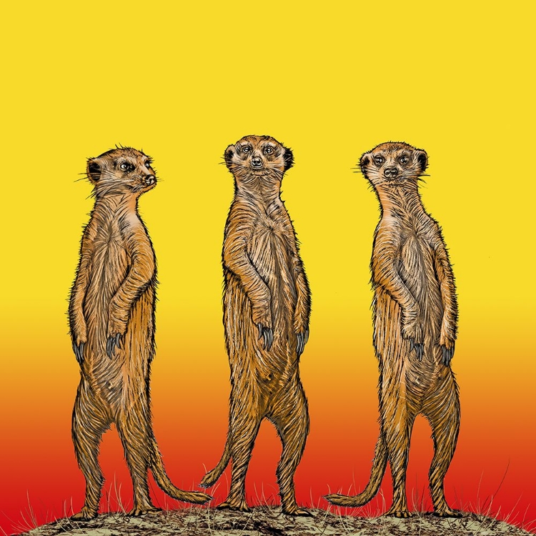 Picture of MEERKAT GANG AT SUNSET