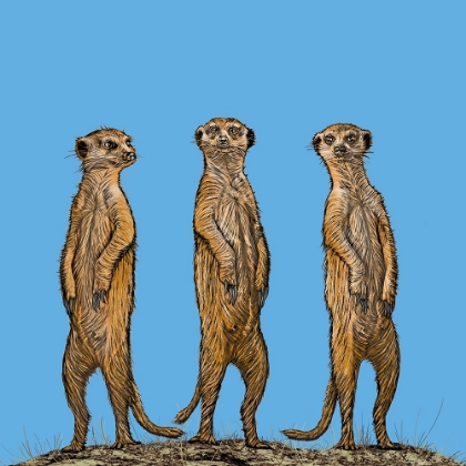 Picture of MEERKAT GANG AT SUNSET