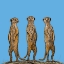 Picture of MEERKAT GANG AT SUNSET