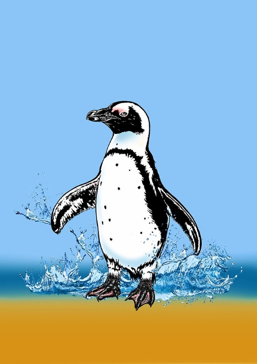 Picture of CUTE PENGUIN SPLASHING