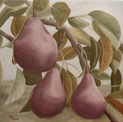 Picture of MAX RED BARTLETT PEARS