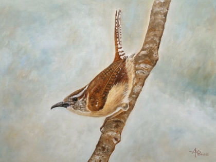 Picture of SWEET CAROLINA WREN