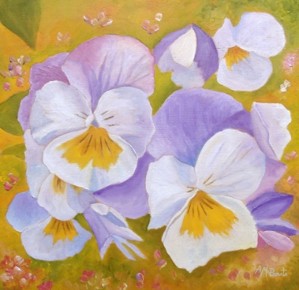 Picture of PANSIES