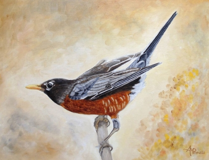 Picture of MORNING STRETCH AMERICAN ROBIN