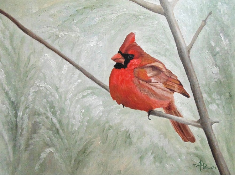 Picture of WINTER CARDINAL