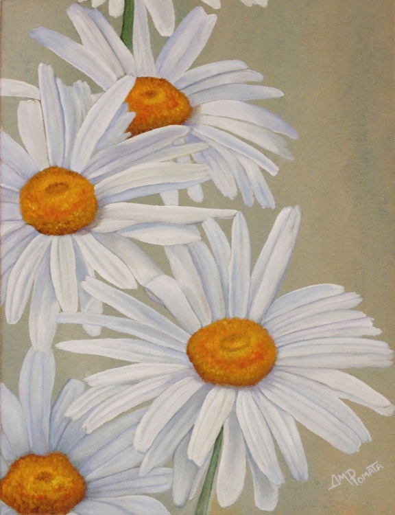 Picture of WHITE DAISIES