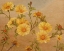 Picture of YELLOW DAISIES