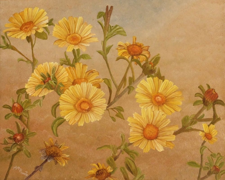 Picture of YELLOW DAISIES