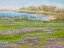 Picture of MISTY BEACH