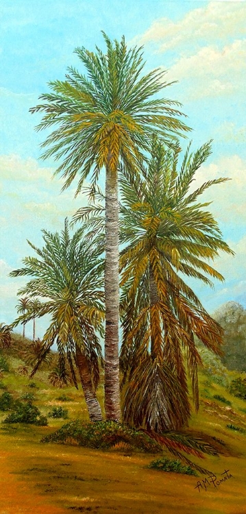 Picture of PALM TREES