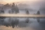 Picture of MYSTIC MORNING III