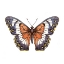 Picture of BUTTERFLY 17
