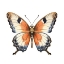Picture of BUTTERFLY 29