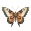 Picture of BUTTERFLY 41