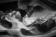 Picture of HALLUCINATORY SPACE