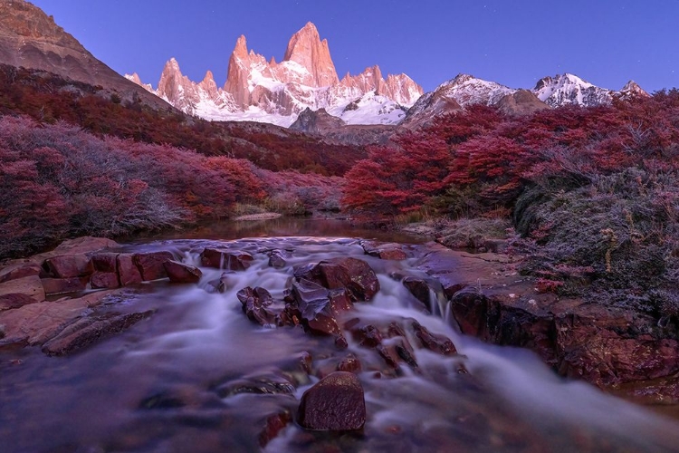 Picture of TRANQUIL MORNING IN PATAGONIA