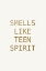 Picture of SPIRIT