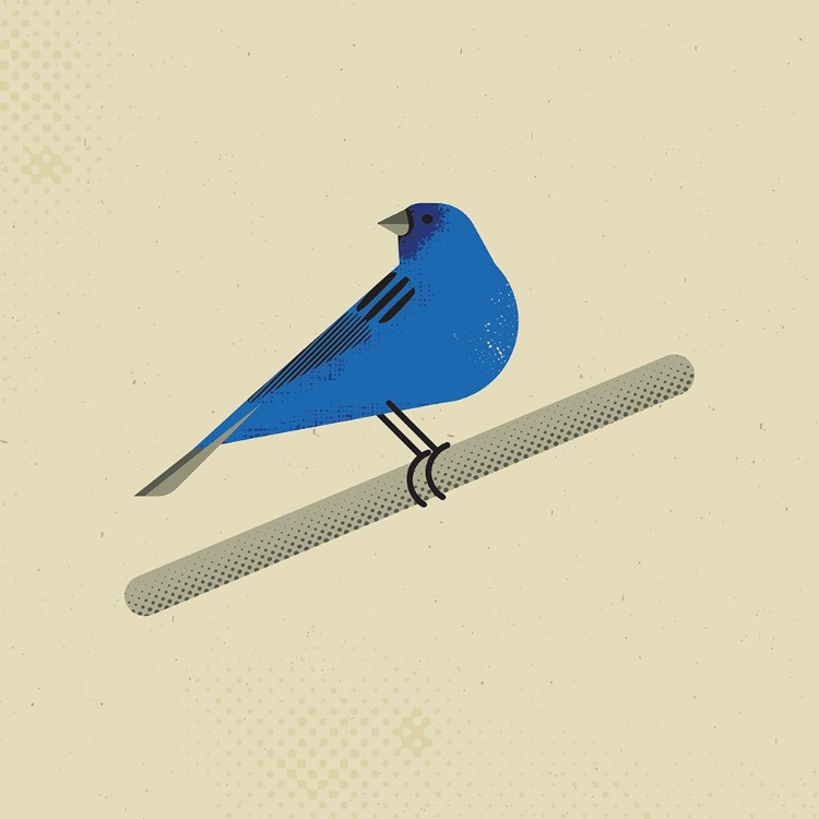 Picture of INDIGO BUNTING