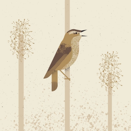 Picture of SEDGE WARBLER