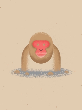 Picture of SNOW MONKEY