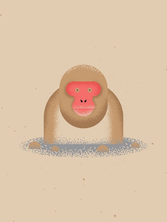 Picture of SNOW MONKEY