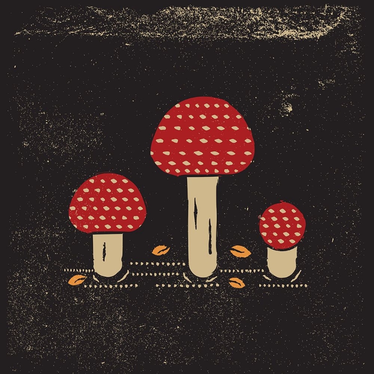 Picture of MUSHROOMS