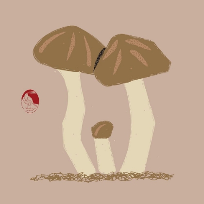 Picture of MATSUTAKE