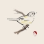 Picture of FINCH
