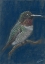 Picture of HUMMINGBIRD