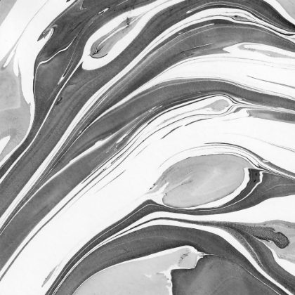 Picture of INK MARBLING BLACK AND WHITE 02
