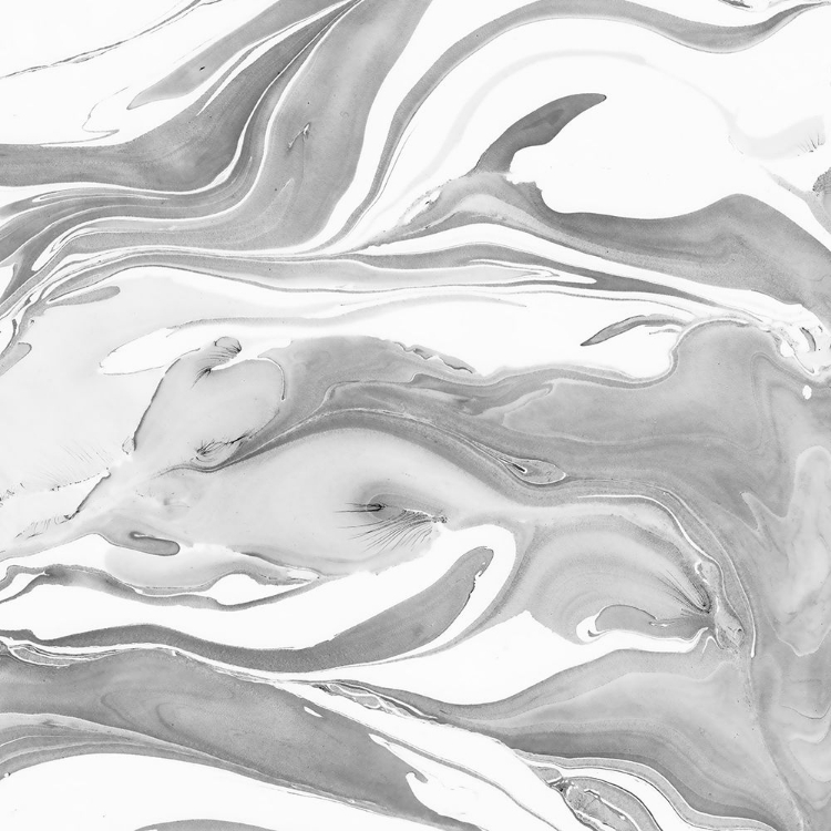 Picture of INK MARBLING BLACK AND WHITE 05