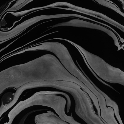Picture of INK MARBLING BLACK AND WHITE 08