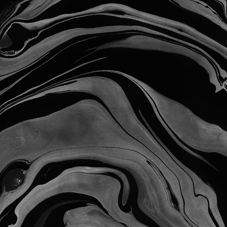 Picture of INK MARBLING BLACK AND WHITE 08