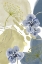 Picture of BLUEY GREEN-1