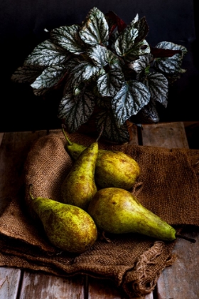Picture of PEARS