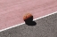 Picture of BALL #1
