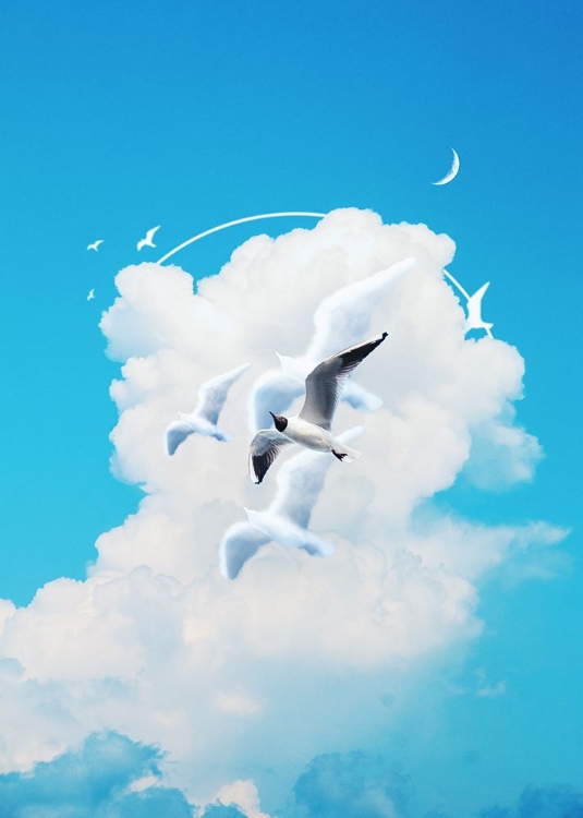 Picture of FLY FREE BIRDS CLOUD