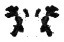 Picture of INKBLOT 02