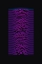 Picture of 220116 NEON WAVEFORM
