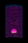 Picture of 220120 NEON SUNSET