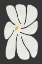 Picture of WHITE DAISY