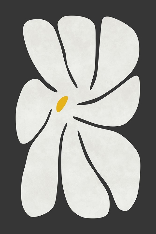 Picture of WHITE DAISY